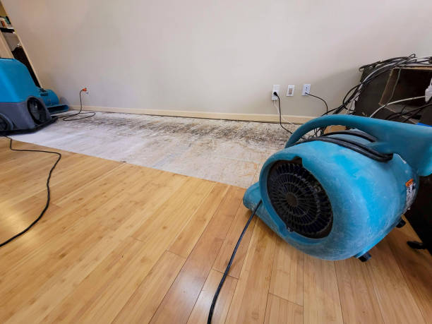 Professional Ceiling Water Damage Repair technician working in Lugoff, SC